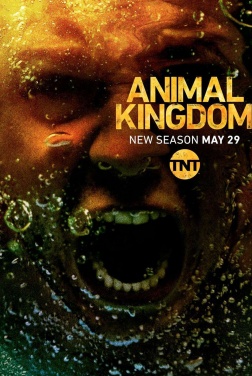 Animal Kingdom (Série TV)